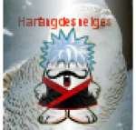 Harfangdesneiges