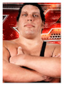 Andre the giant