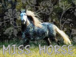 MISS HORSE