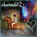 chanou301