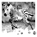 poney 6030