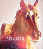 toudis