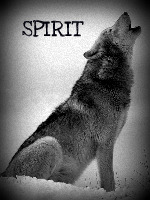 Spirit