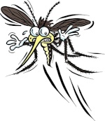 MOSQUITO!!!