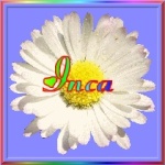 Inca