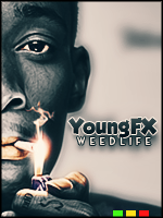 YoungFX