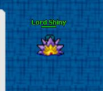 Lord Shiny