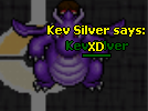 kev silver