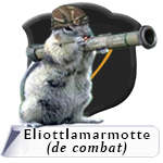 Eliottlamarmotte