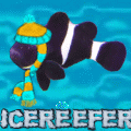 icereefer