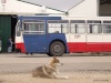 Passeio Volvo B10R-55 & Museu Naval de Vale de Zebro Passei79