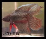 betta180°