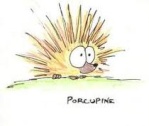 Porcupine