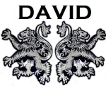 david4785