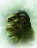 Avatars d'orc Troll_10