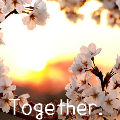 Together.♥