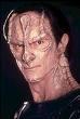 guuldukat