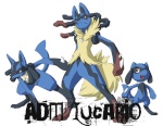 |ADM|Lucario