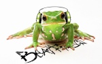 beatfrosch