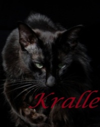 Kralle