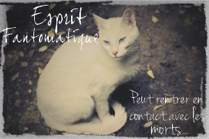 Esprit Fantomatique