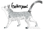 Featherpool