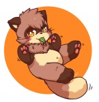 Tanuki