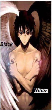 Black Wings