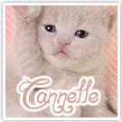 Cannelle