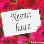 Nesmet hawa