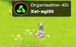 Xel-agilit