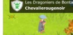 Chevalierougenoir