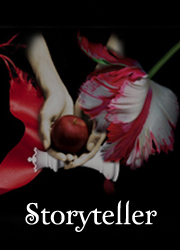 Storyteller