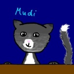 Mudi