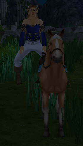 i don't think your suposed to ride horses like that =o