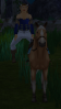 i don't think your suposed to ride horses like that =o