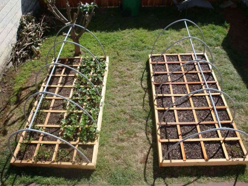 My two 4'x8' beds