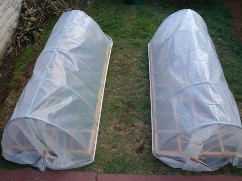 Hoop Houses