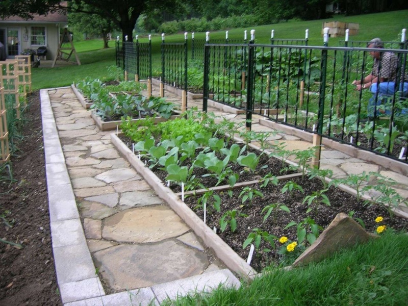 Square foot garden - 001