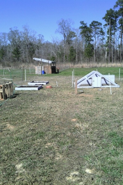 SFG, Compost bin and Chicken Coop