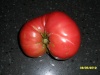 "Mortgage Lifter" tomato Aug. 5, 2012