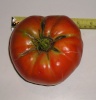 Brandywine tomato.  Picked today, August 13, 2012

Weight:  1 lb. 7 oz.