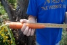 My biggest 2012 carrot measured 10 3/4 inches