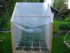 Square Foot Garden Greenhouse.
Cooling Curtain on side for Summer.