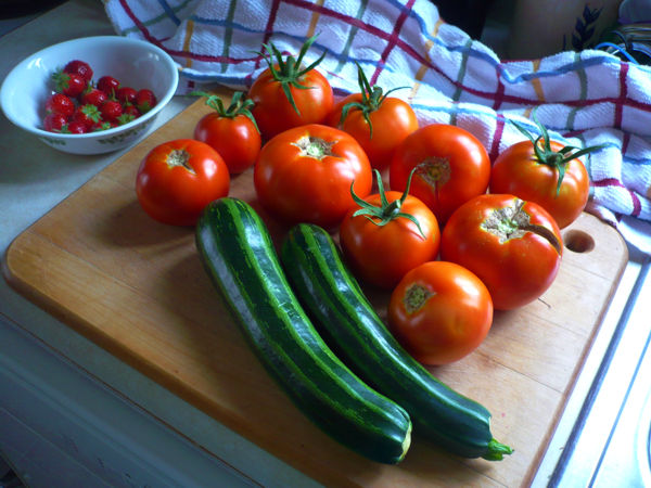 Tomato Tuesday/Upper South region Wv63_210