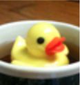 Duckinacup