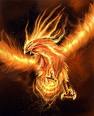 phenix.