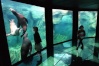 aquarium nausicaa (nord pas-de-calais, boulogne sur mer)