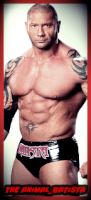 the animal_batista