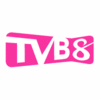 TVB 8